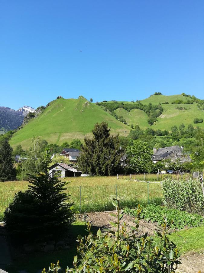 La Maison De Jeanne Osse-en-Aspe Exteriör bild